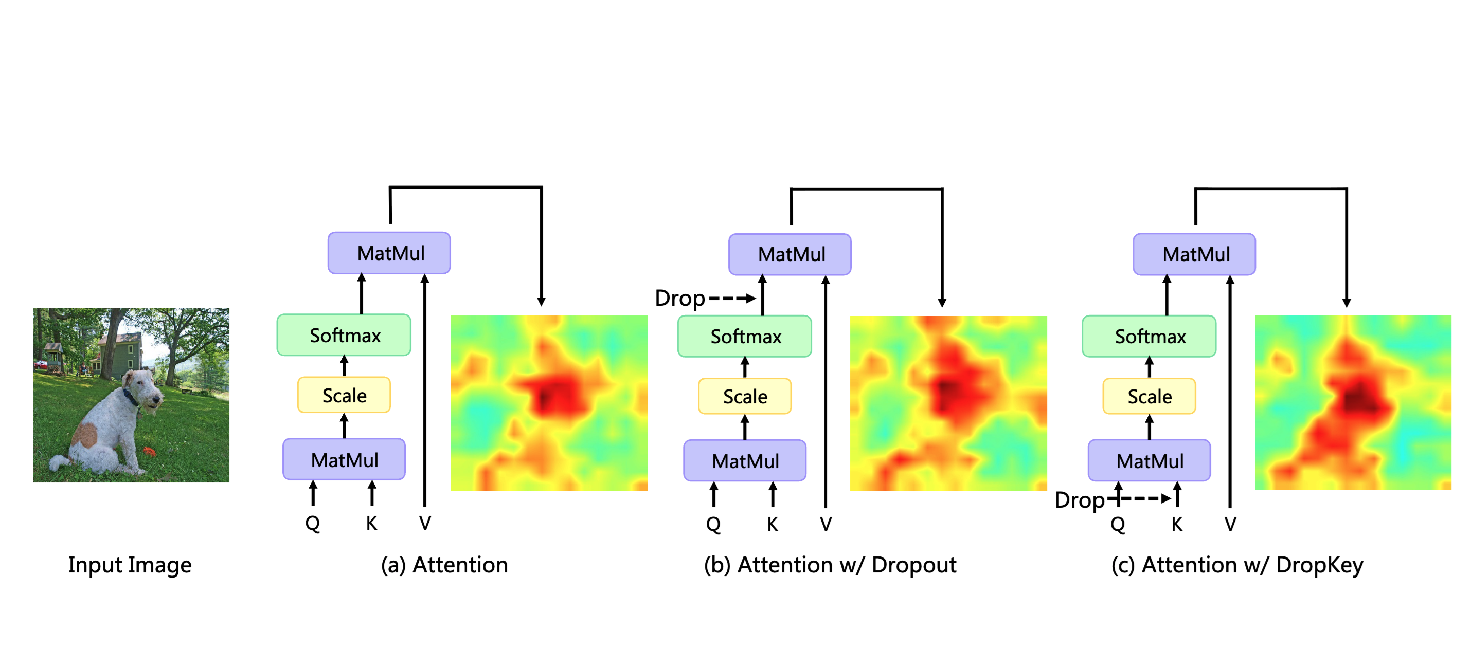 DropKey for Vision Transformer